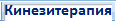 КИНЕЗИТЕРАПИЯ